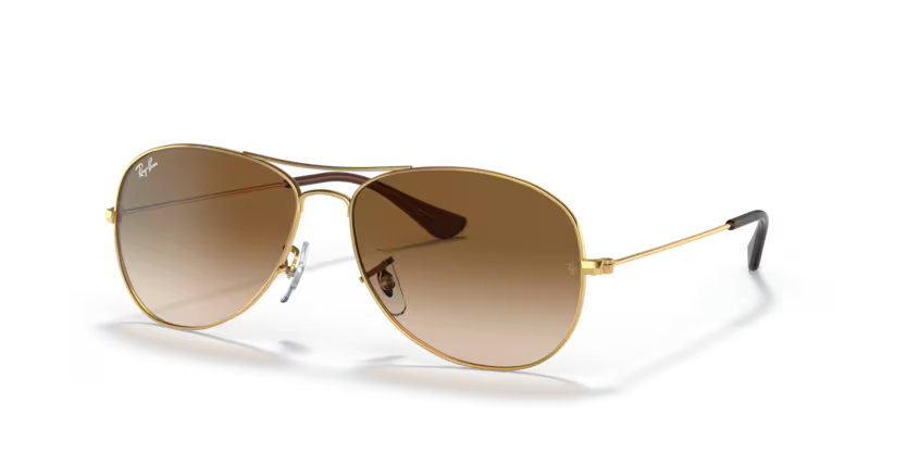 Ray-Ban 3362 COCKPIT