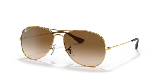 Ray-Ban 3362 COCKPIT