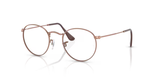 Ray-Ban 3447V