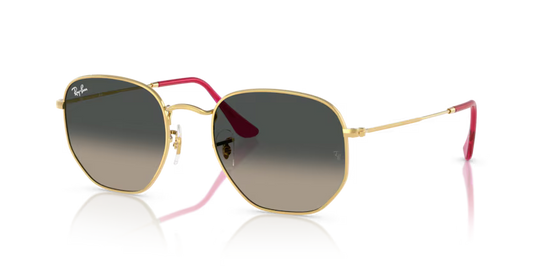 Ray-Ban 3548N