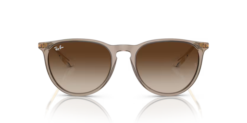 Ray-Ban 4171 ERIKA